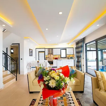 Villa Private Mavi