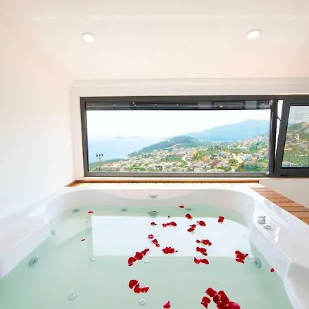 Villa Private Mavi *